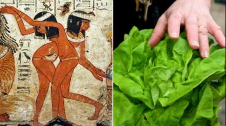 Legătura şocantă dintre salata verde şi sex. Cel mai mare secret al egiptenilor