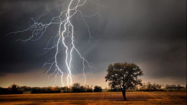 Vremea de Florii 2018. Veştile de la meteo nu sunt prea bune. Aşa va fi şi de Paşte!