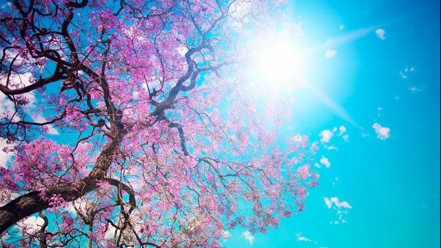 Veşti neaşteptate de la meteo: Cum va fi vremea în următoarele zile