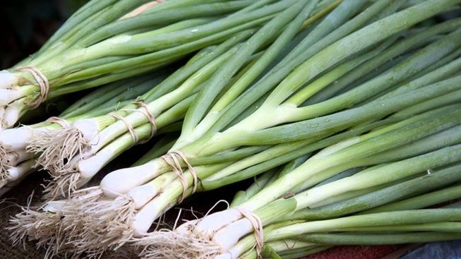 Ceapă verde