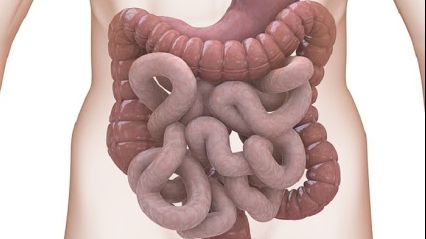 Alimentele minune care ajută la curățarea colonului 