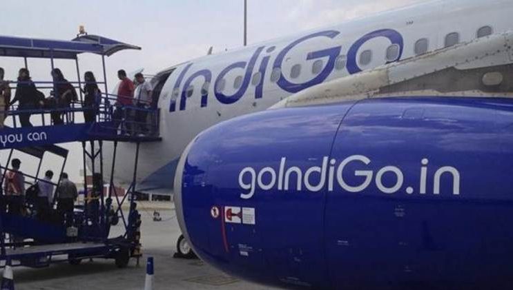 Absolut incredibil: S-a plâns că sunt țânțari în avion și a fost dat jos cu forța 