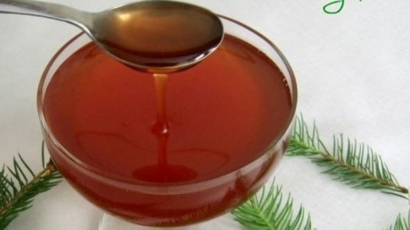 Miere cu muguri de brad, un elixir cu puteri excepţionale