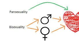 Cine sunt "pansexualii". Ce trebuie să ştim despre ei