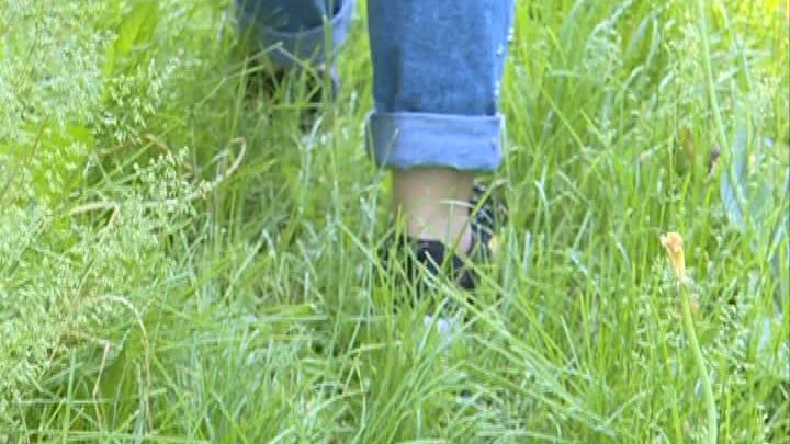 ATENŢIE! Tot mai mulţi oameni sunt muşcaţi de căpuşe