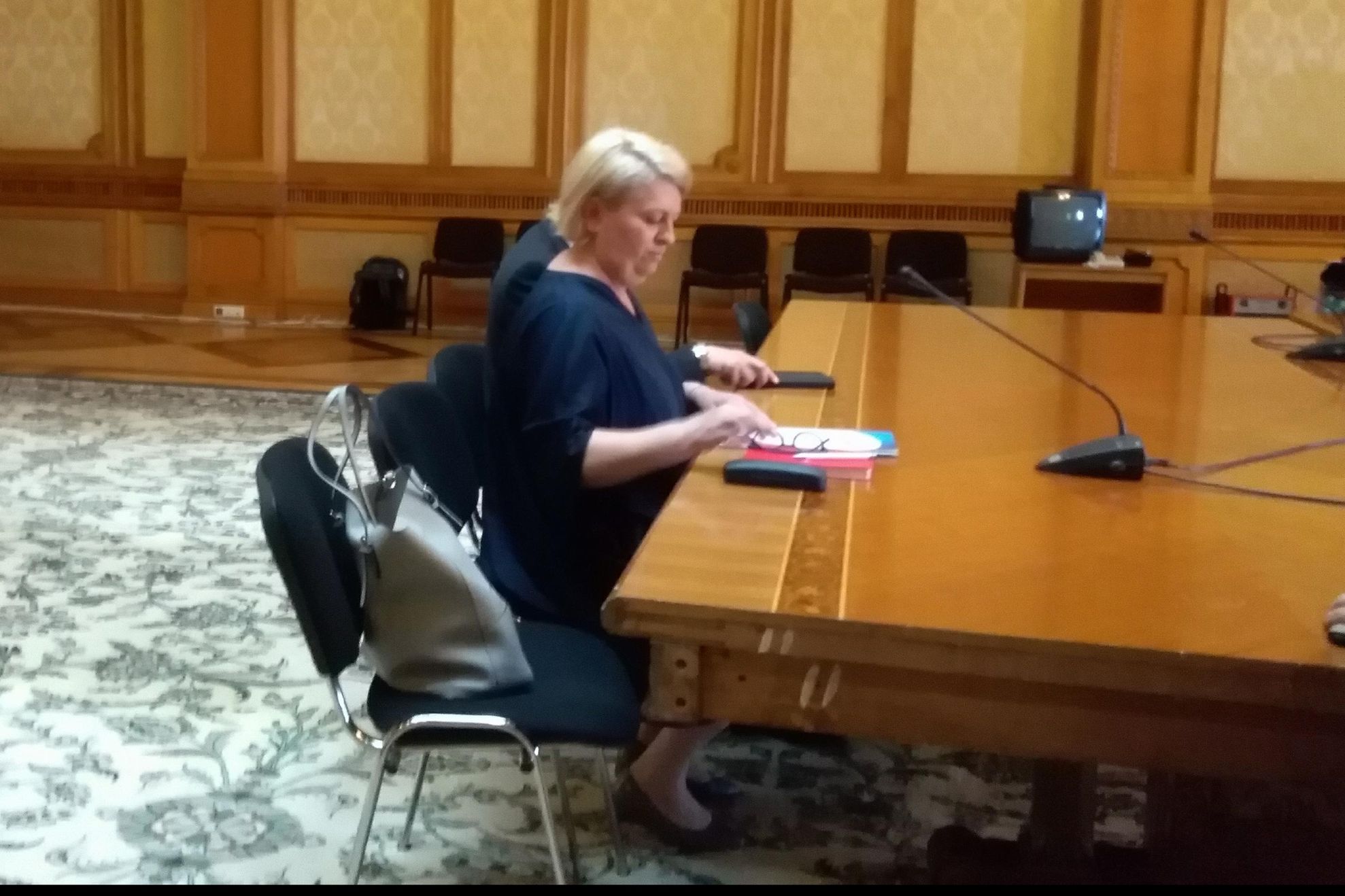 PSD, scut în jurul Doinei Gradea. Șefa TVR a fost audiată fără să i se pună întrebări în comisie
