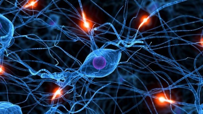 Cazul Skripal: Serviciile secrete germane au procurat în anii '90 un eşantion neurotoxic Noviciok