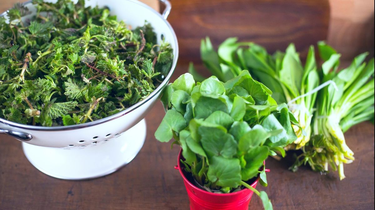Planta pe care mulți români o calcă în picioare este bună la detoxifierea organismului și nu numai!