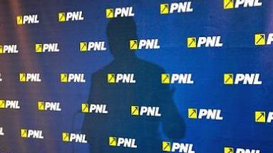 PNL își asumă plângerea lui Orban împotriva premierului Dăncilă