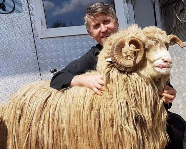 Lovitură devastatoare pentru Cristian Pomohaci. (VIDEO)