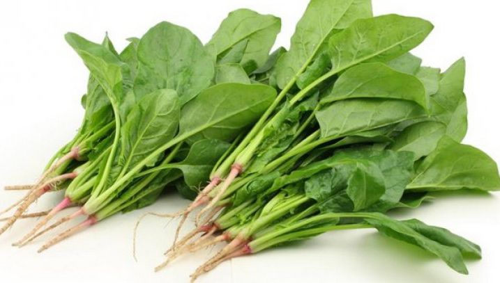 Cel mai sănătos aliment din lume: dacă îl consumi zilnic nu o să ai nevoie de dietă sau de medic