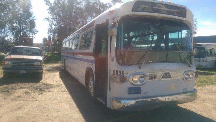 O femeie a transformat un autobuz într-o casă de lux. Imagini impresionante 