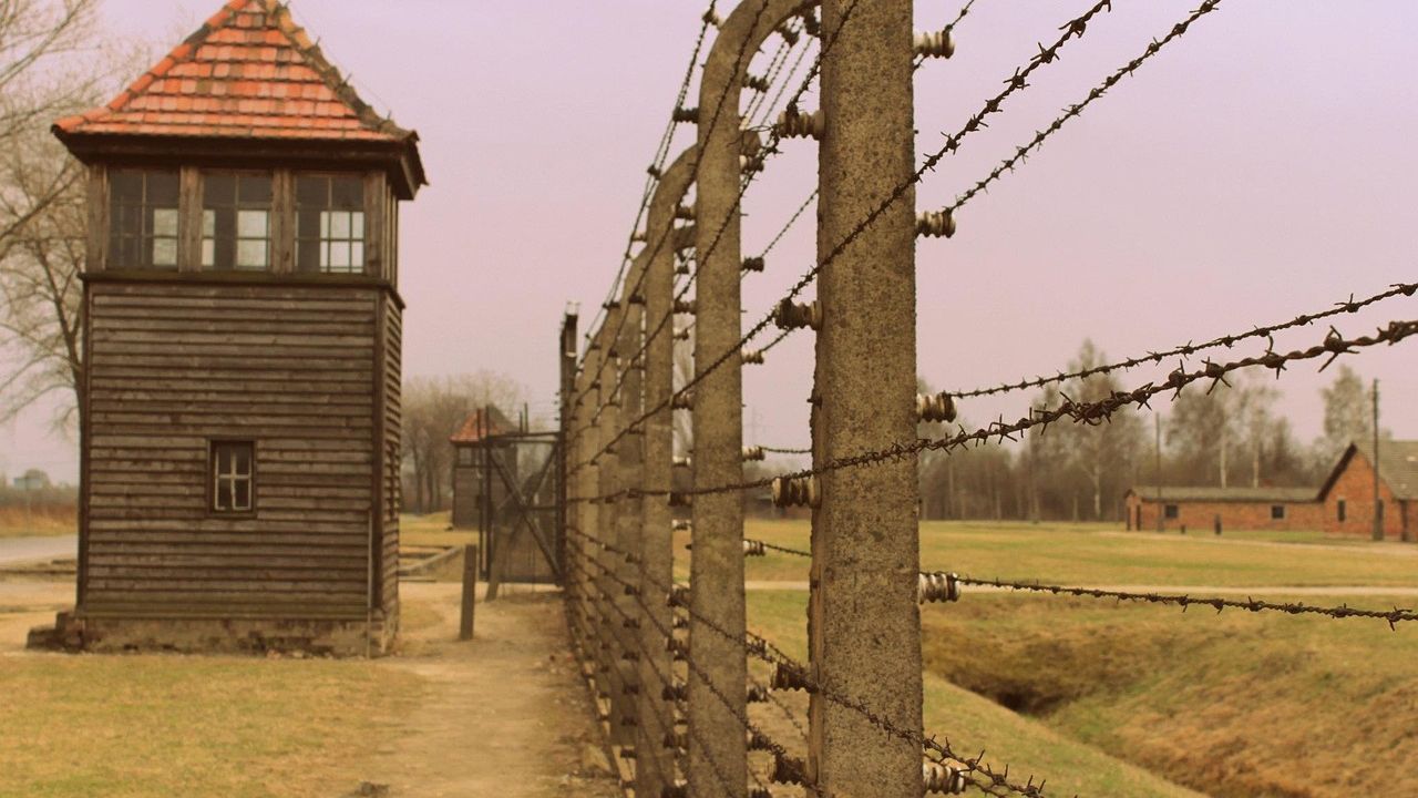 BAC 2018 istorie. Subiecte: totalitarism la 3. România Mare și domnitori, la 1 și 2