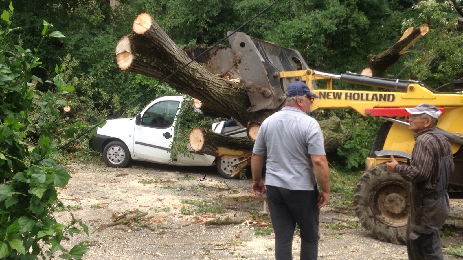 Un copac a căzut peste un autoturism și o casă. Patru persoane rănite