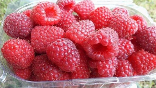 Descoperire majoră: aceste fructe roșii ucid celulele canceroase