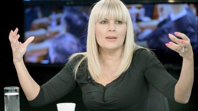 Elena Udrea, șase ani de închisoare cu executare în dosarul Gala Bute. Obreja, cinci ani
