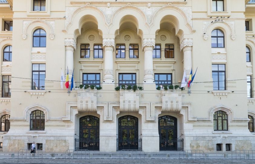 Apel disperat: luaţi gorila din Primăria Generală!