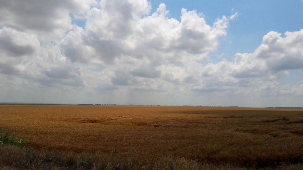 Doar 5% din suprafața agricolă e lucrată de străini. Propaganda, contrazisă de datele oficiale