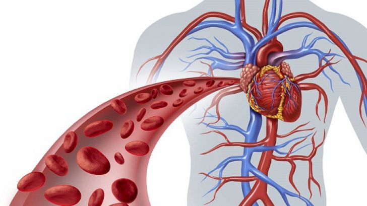 Cele mai frecvente boli de inimă