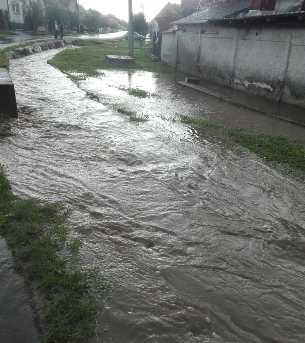 Viitura în judeţul Sibiu: 50 de locuinţe evacuate, în Boian
