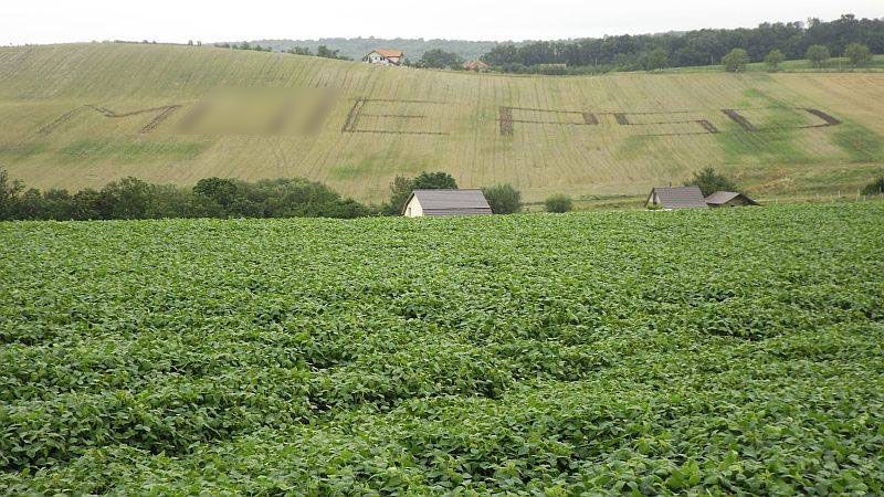 "M... PSD", acum și pe câmp. Un clujean a scris mesajul cu litere uriașe, folosind tractorul