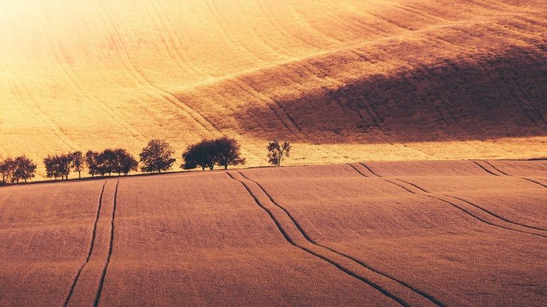 Vara indiană, fenomenul meteo care se instalează în România. Cum va fi iarna