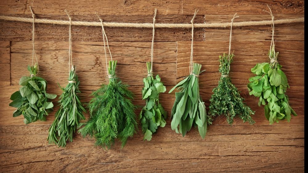 Planta cu efecte miraculoase. Iată cât de benefică este!
