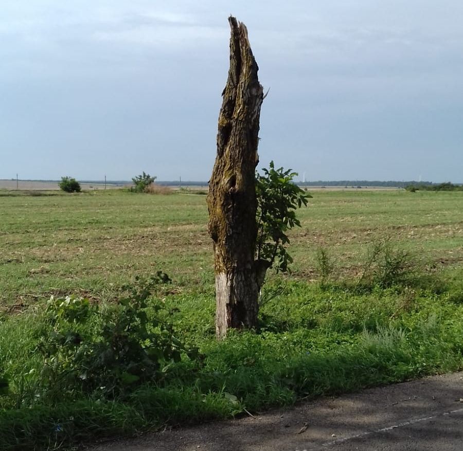 Imagini de coşmar: o tornadă a făcut ravagii