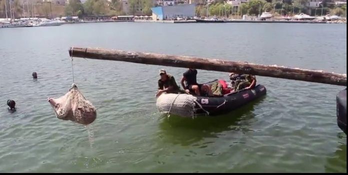 Curcan în loc de purcel, de Ziua Marinei, la Severin