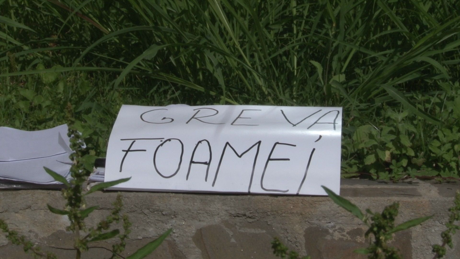 HAOS la Universitar. Numărul persoanelor în greva foamei creşte, directorul financiar a demisionat