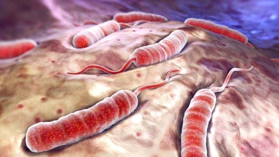 Vremea holerei? 59 de cazuri de boală deja confirmate
