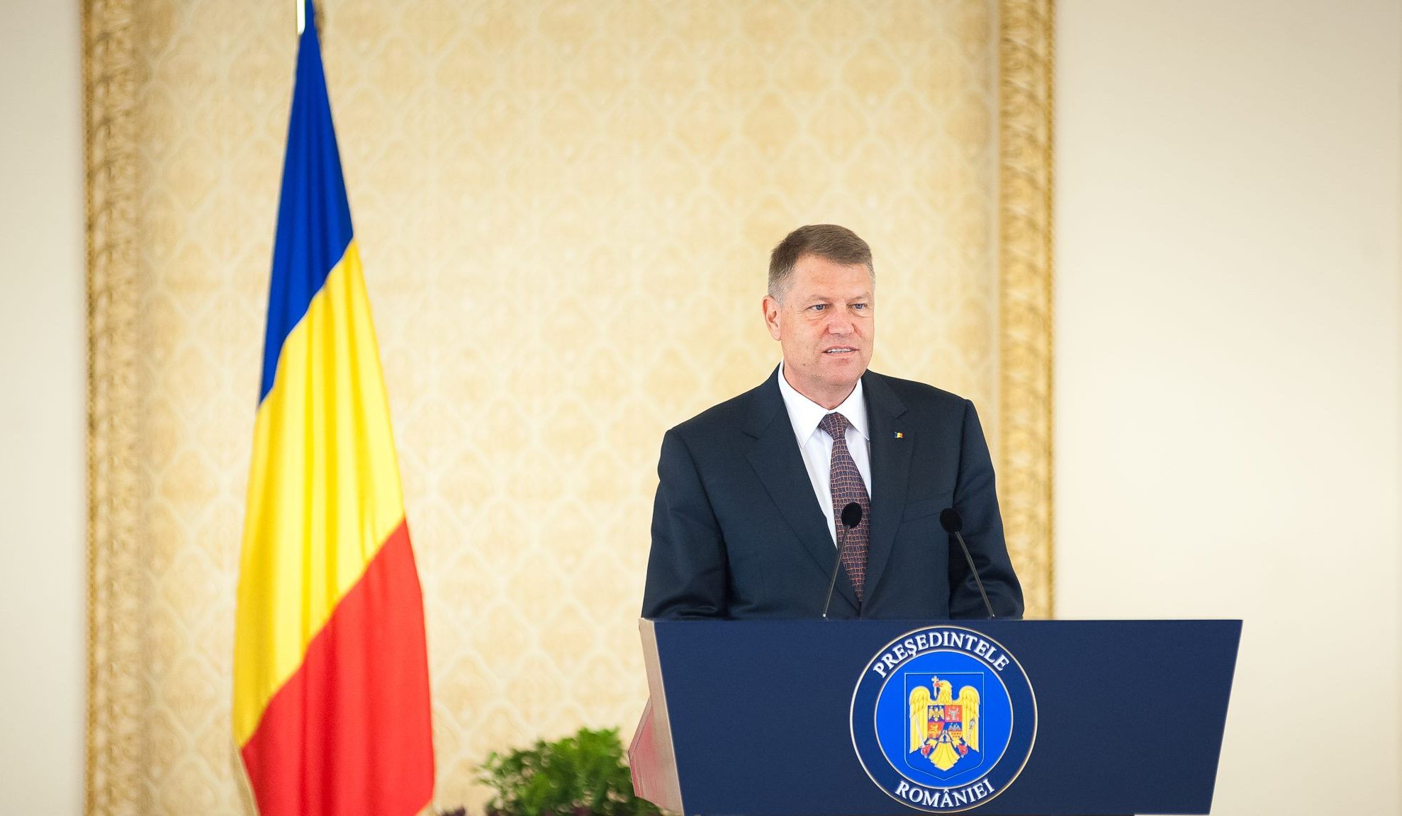 Iohannis: "Să se verifice cum s-au aplicat măsurile împotriva pestei porcine"