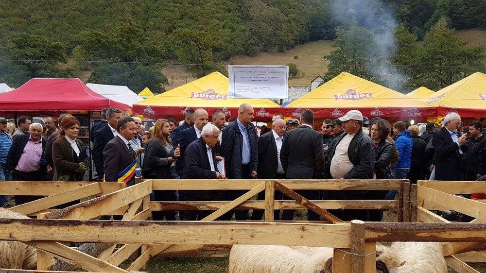 Petre Daea: "Nu pot să îmi demonstrez incompetenţa. Şi eu sunt autoritate"