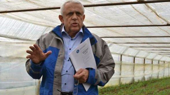 PESTA PORCINĂ. Daea o dă la întors cu incendierea câmpurilor de porumb