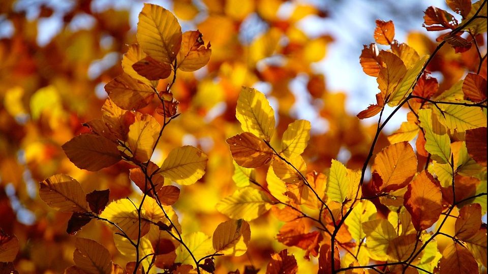 Vremea, neașteptată în acest weekend. Ce temperaturi vom avea