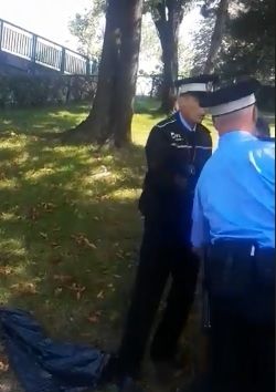 Copii încătuşaţi şi loviţi de poliţia locală, într-un parc din Bucureşti. UPDATE Reacții autorități