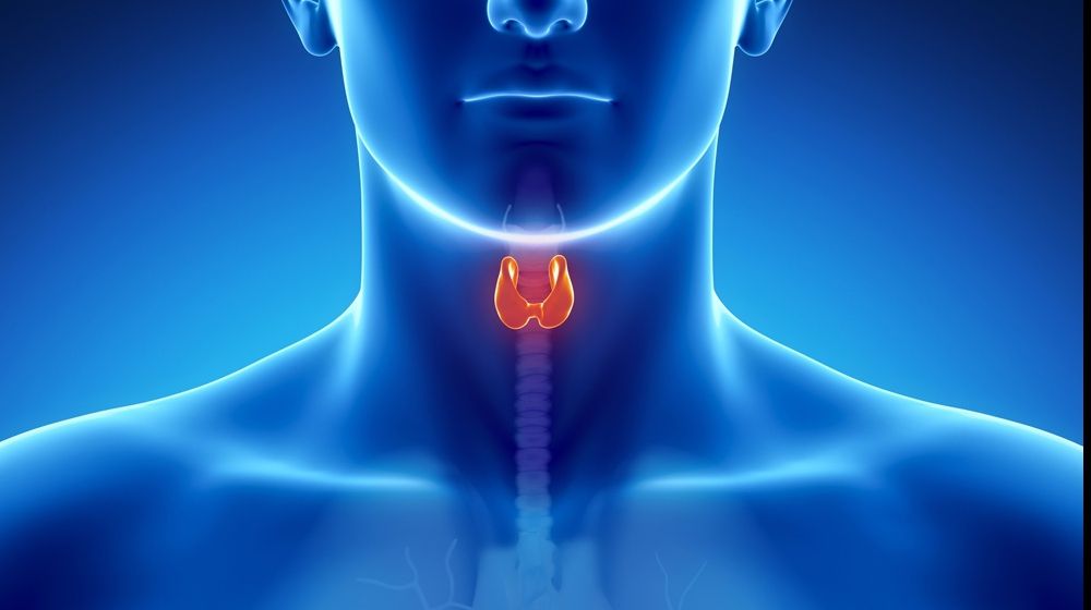 Analize hormonale de endocrinologie pentru femei