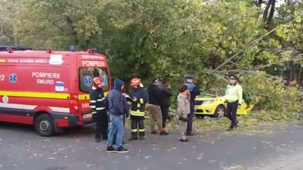 Vântul face victime în București! Un bărbat rănit grav, după ce un copac a căzut peste mașina sa