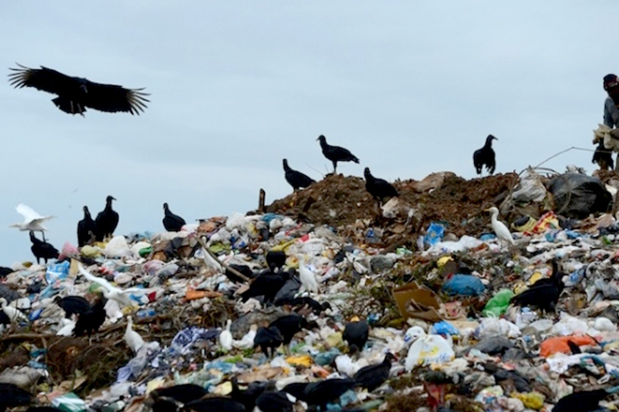 România, CONDAMNATĂ. Gropile de gunoi de dau bătaie de cap în relația cu UE
