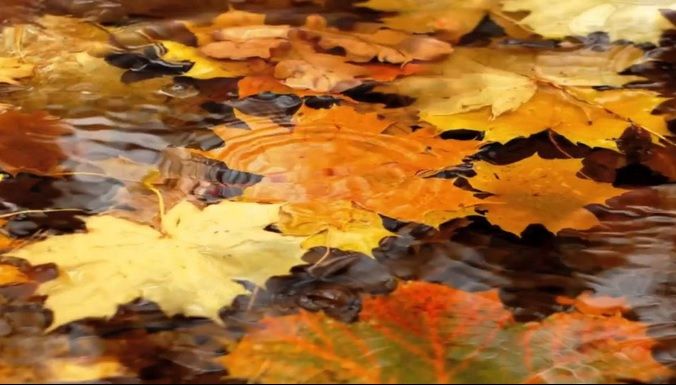 Vin ploile și se face frig! Prognoza meteo pe două săptămâni