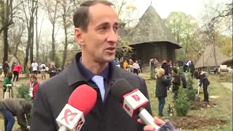 Pădure olimpică în Anul Centenar