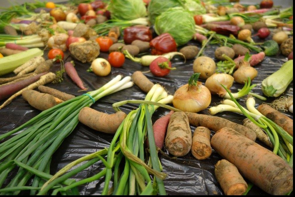 Prima bancă de alimente din Cluj, lansată oficial