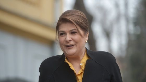 Rovana Plumb: Suntem pregătiţi să ducem Preşedinţia Consiliului UE până la capăt