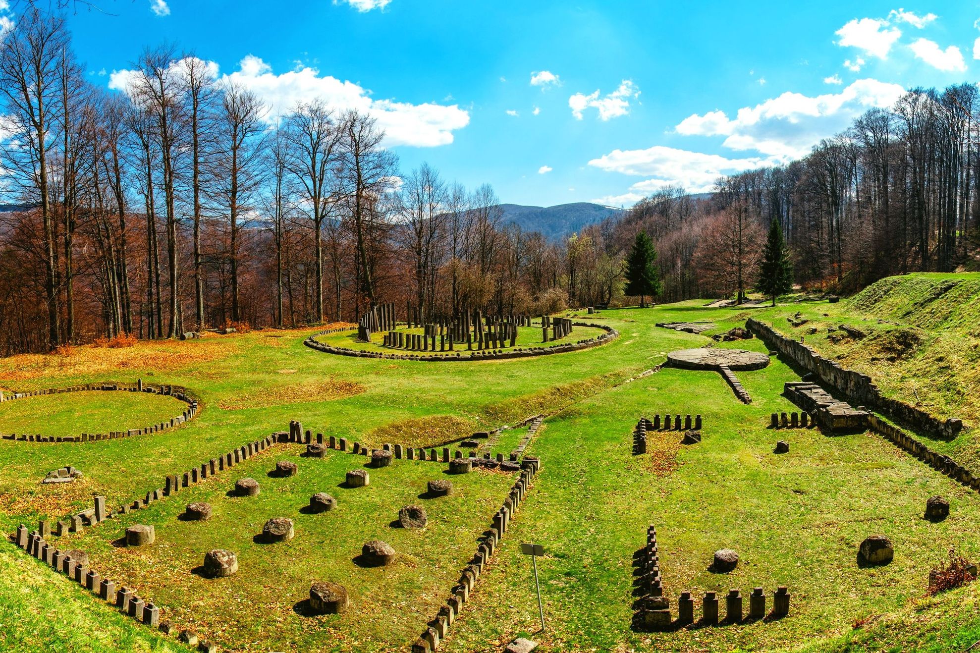 Decizie-șoc. Peste jumătate din copacii de la Sarmisegetuza vor fi tăiați