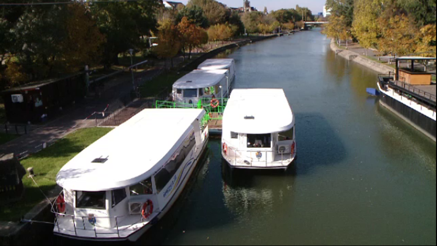 Timișoara dă lecții Capitalei: cu vaporașul până în Serbia 