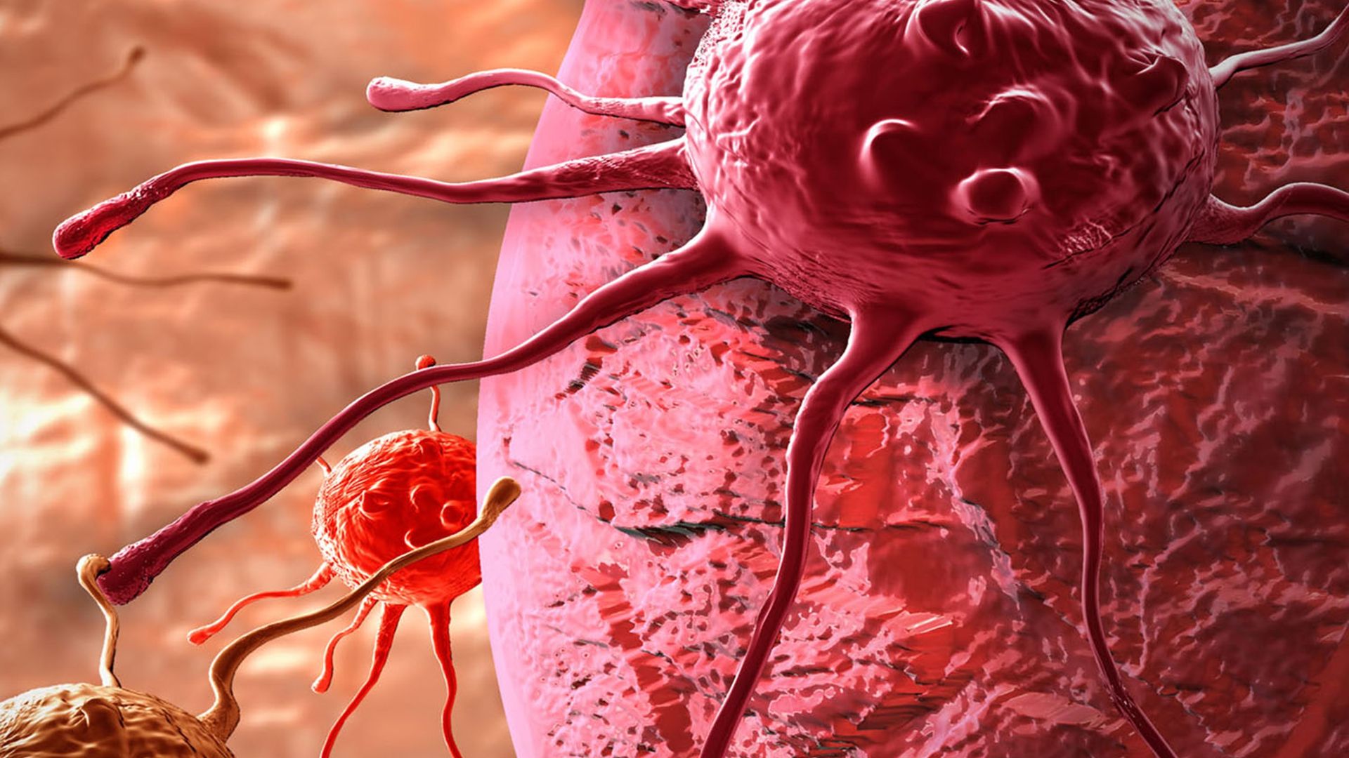 Descoperirea care ar putea revoluţiona tratamentul împotriva CANCERULUI. E uimitor 