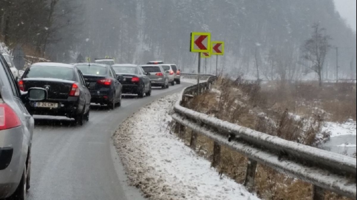 Un brad a provocat BLOCAJ pe DN1. Au avut loc tamponări