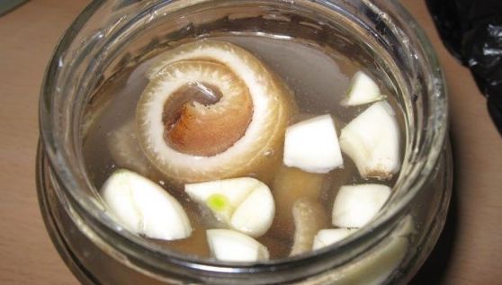 Şorici în saramură cu usturoi. Cum se prepară această delicatesă
