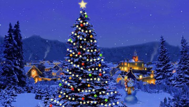 Sezonul sărbătorilor! De unde provine obiceiul împodobirii brazilor. Nu știai asta