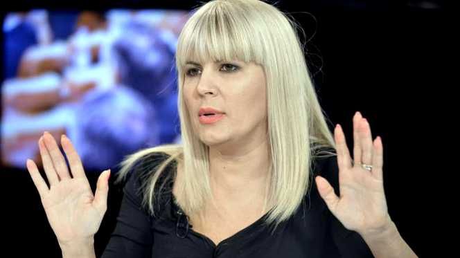 Ce ascunde liberarea în viteză a Elenei Udrea?